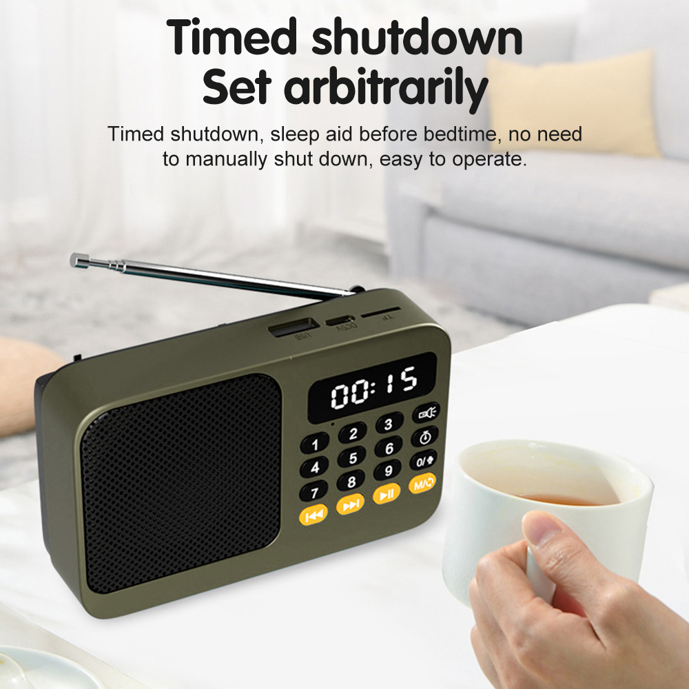 Handheld Rechargeable Digital  - Metronome Digital recension och pris